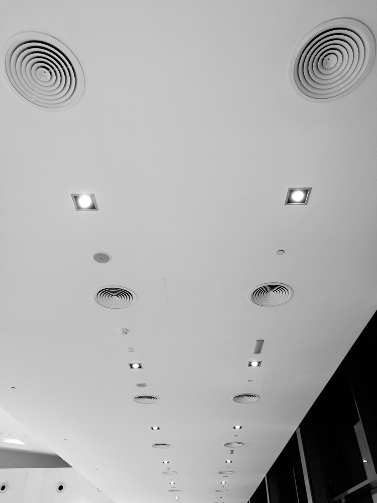 A.C.P. Filipe : création de plafond